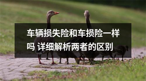 车辆损失险和车损险一样吗 详细解析两者的区别