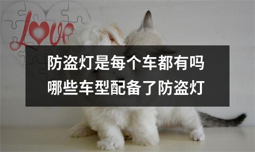 防盗灯是每个车都有吗 哪些车型配备了防盗灯
