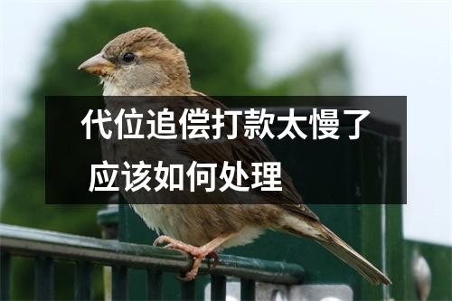 代位追偿打款太慢了 应该如何处理