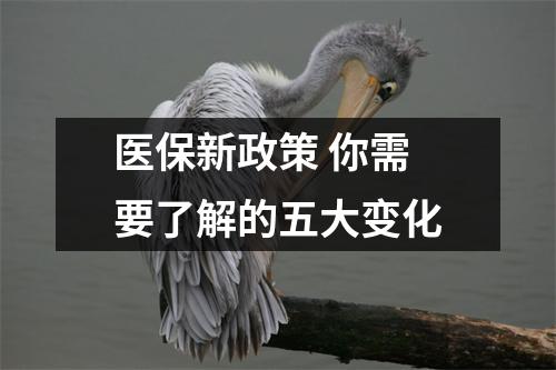 医保新政策 你需要了解的五大变化