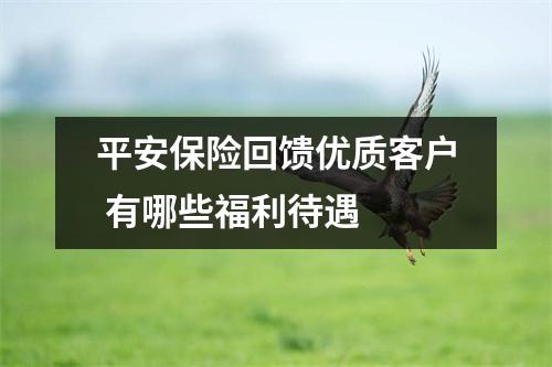 平安保险回馈优质客户 有哪些福利待遇 