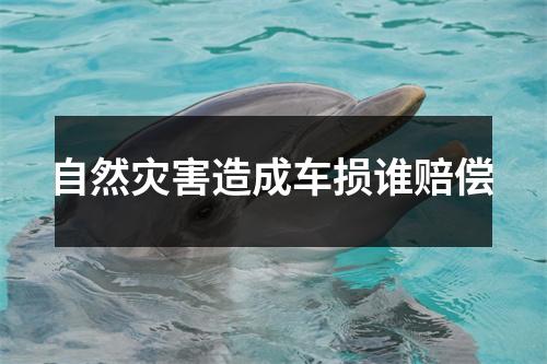 自然灾害造成车损谁赔偿