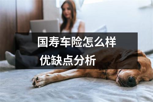 国寿车险怎么样 优缺点分析