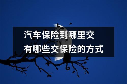 汽车保险到哪里交 有哪些交保险的方式