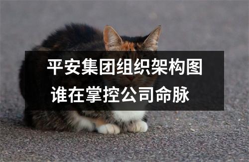 平安集团组织架构图 谁在掌控公司命脉