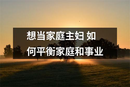 想当家庭主妇 如何平衡家庭和事业