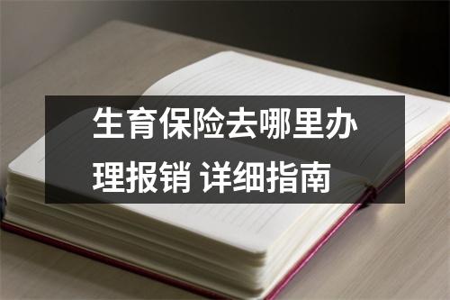 生育保险去哪里办理报销 详细指南