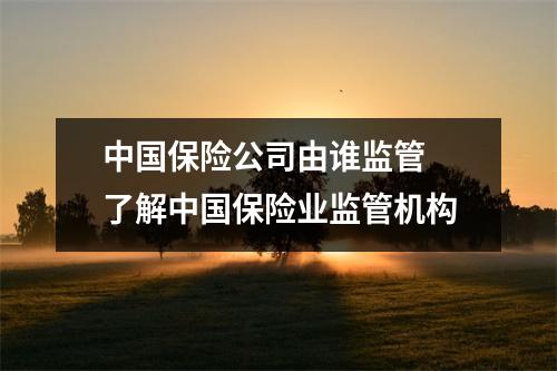 中国保险公司由谁监管 了解中国保险业监管机构