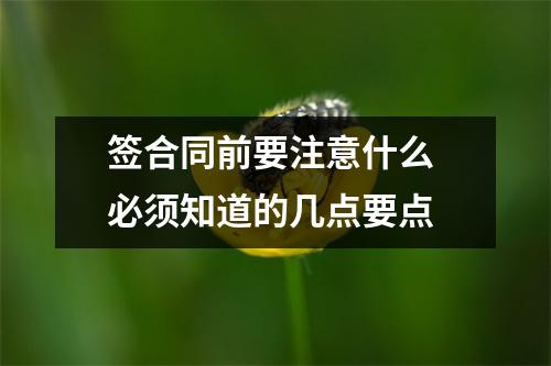 签合同前要注意什么 必须知道的几点要点
