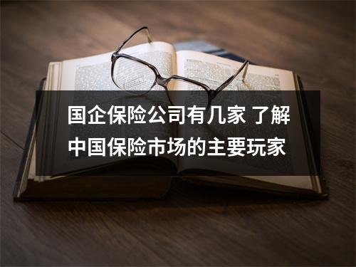 国企保险公司有几家 了解中国保险市场的主要玩家