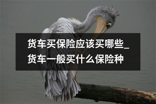 货车买保险应该买哪些_货车一般买什么保险种