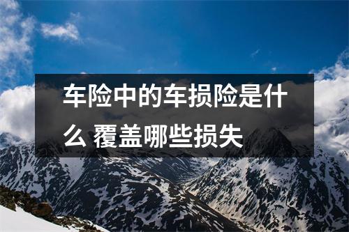车险中的车损险是什么 覆盖哪些损失