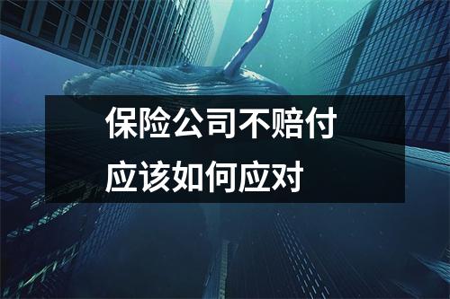 保险公司不赔付 应该如何应对 
