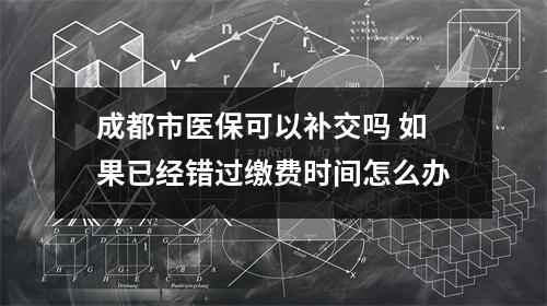 成都市医保可以补交吗 如果已经错过缴费时间怎么办
