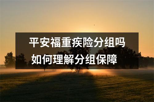 平安福重疾险分组吗 如何理解分组保障