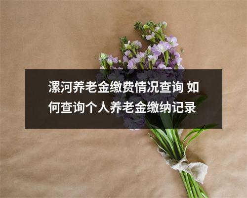 漯河养老金缴费情况查询 如何查询个人养老金缴纳记录