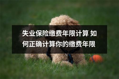 失业保险缴费年限计算 如何正确计算你的缴费年限