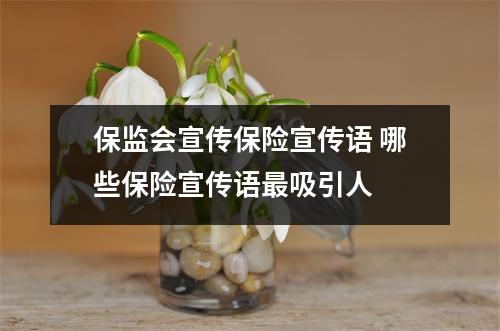 保监会宣传保险宣传语 哪些保险宣传语最吸引人 