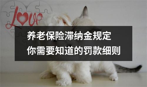 养老保险滞纳金规定 你需要知道的罚款细则