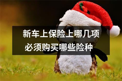 新车上保险上哪几项 必须购买哪些险种