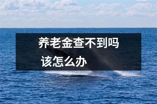 养老金查不到吗 该怎么办 