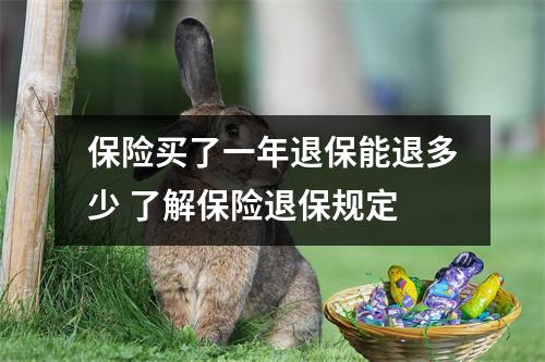 保险买了一年退保能退多少 了解保险退保规定