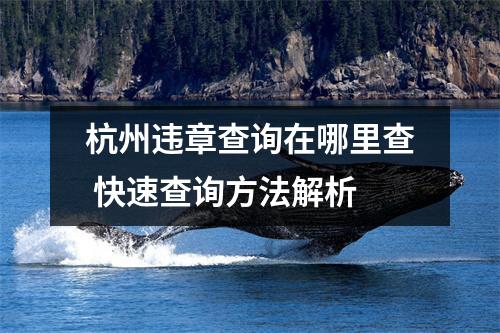 杭州违章查询在哪里查 快速查询方法解析