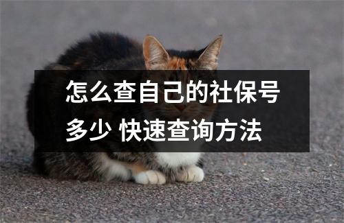 怎么查自己的社保号多少 快速查询方法