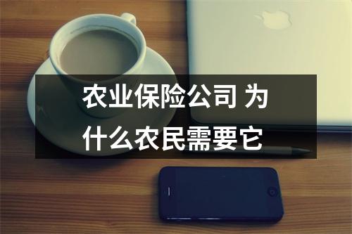 农业保险公司 为什么农民需要它 