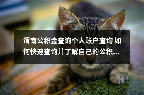 渭南公积金查询个人账户查询 如何快速查询并了解自己的公积金账户情况