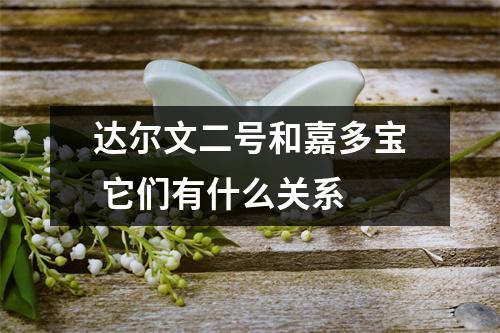 达尔文二号和嘉多宝 它们有什么关系 