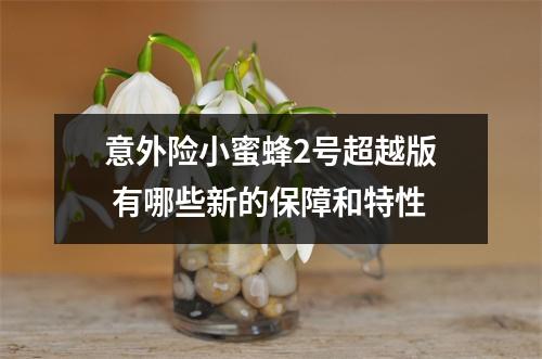 意外险小蜜蜂2号超越版 有哪些新的保障和特性