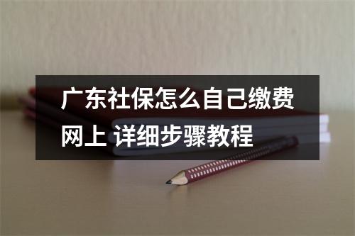 广东社保怎么自己缴费网上 详细步骤教程