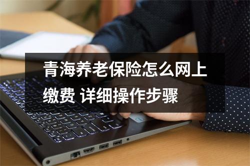 青海养老保险怎么网上缴费 详细操作步骤