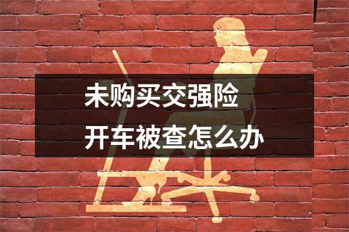 未购买交强险 开车被查怎么办