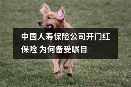 中国人寿保险公司开门红保险 为何备受瞩目