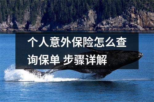 个人意外保险怎么查询保单 步骤详解