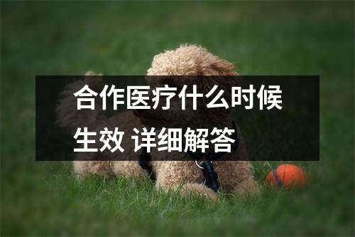 合作医疗什么时候生效 详细解答