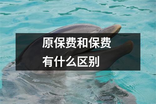 原保费和保费 有什么区别
