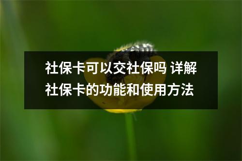社保卡可以交社保吗 详解社保卡的功能和使用方法