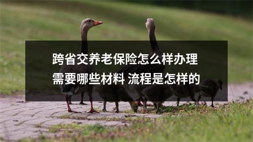 跨省交养老保险怎么样办理 需要哪些材料 流程是怎样的