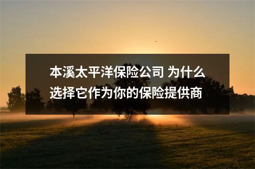 本溪太平洋保险公司 为什么选择它作为你的保险提供商