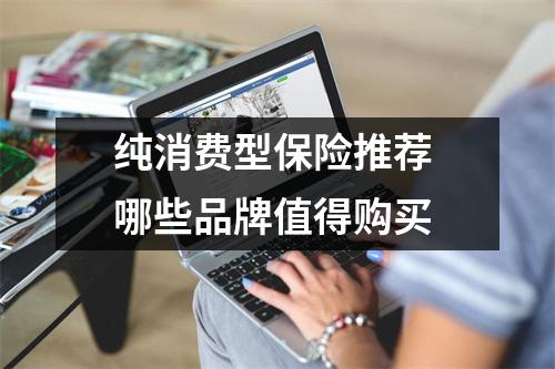 纯消费型保险推荐 哪些品牌值得购买