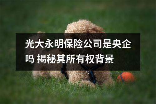 光大永明保险公司是央企吗 揭秘其所有权背景