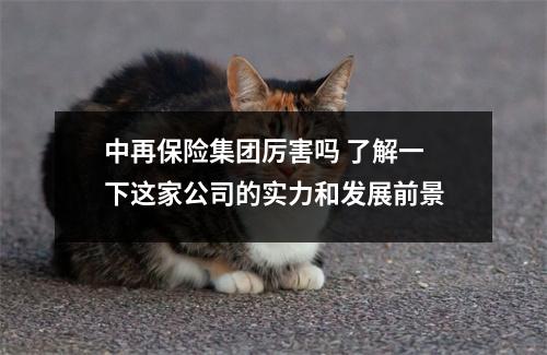 中再保险集团厉害吗 了解一下这家公司的实力和发展前景