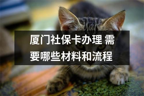 厦门社保卡办理 需要哪些材料和流程