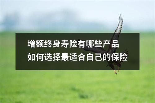 增额终身寿险有哪些产品 如何选择最适合自己的保险