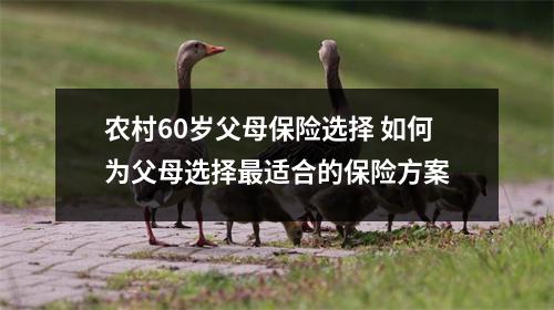 农村60岁父母保险选择 如何为父母选择最适合的保险方案