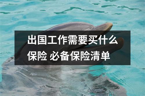 出国工作需要买什么保险 必备保险清单