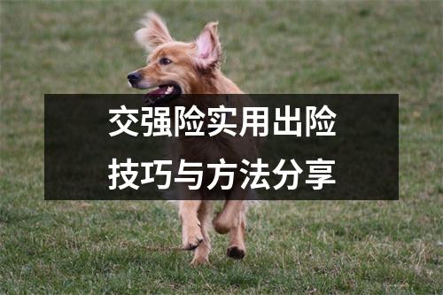 交强险实用出险技巧与方法分享